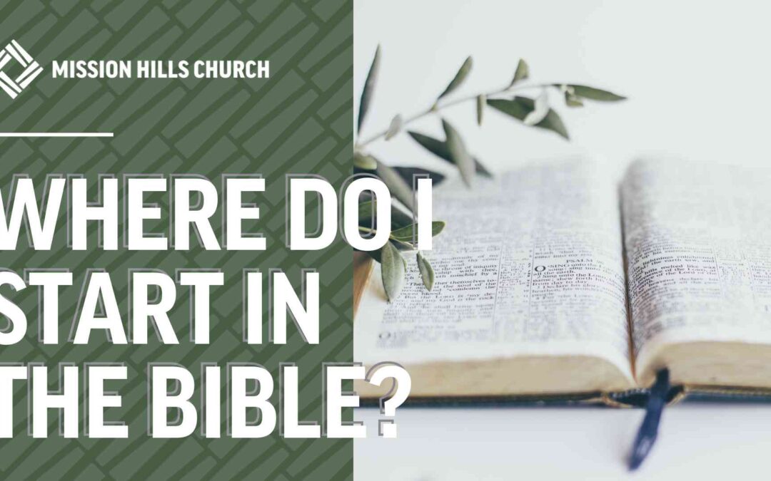 Where Do I Start In the Bible?